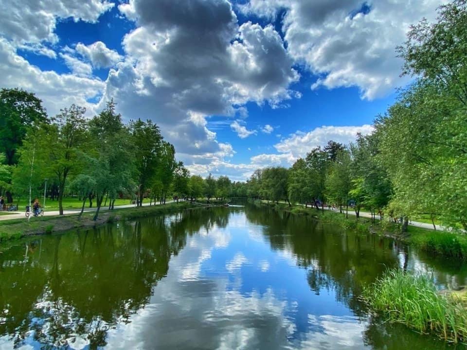 Modern Apartment Near Park Киев Экстерьер фото